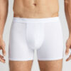 Cotton Boxers with Exposed Elastic Cotton Boxers with Exposed Elastic