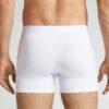 Cotton Boxers with Exposed Elastic Cotton Boxers with Exposed Elastic