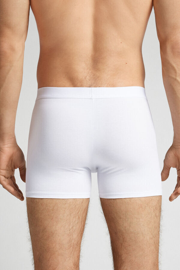 Cotton Boxers with Exposed Elastic Cotton Boxers with Exposed Elastic