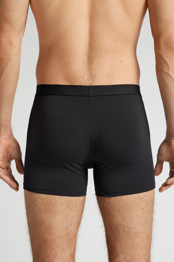 Cotton Boxers with Exposed Elastic Cotton Boxers with Exposed Elastic