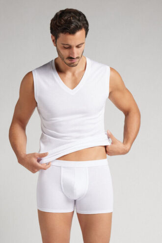 Premium Cotton Boxer Trunks Premium Cotton Boxer Trunks