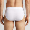 The Indestructible Superior Cotton Briefs